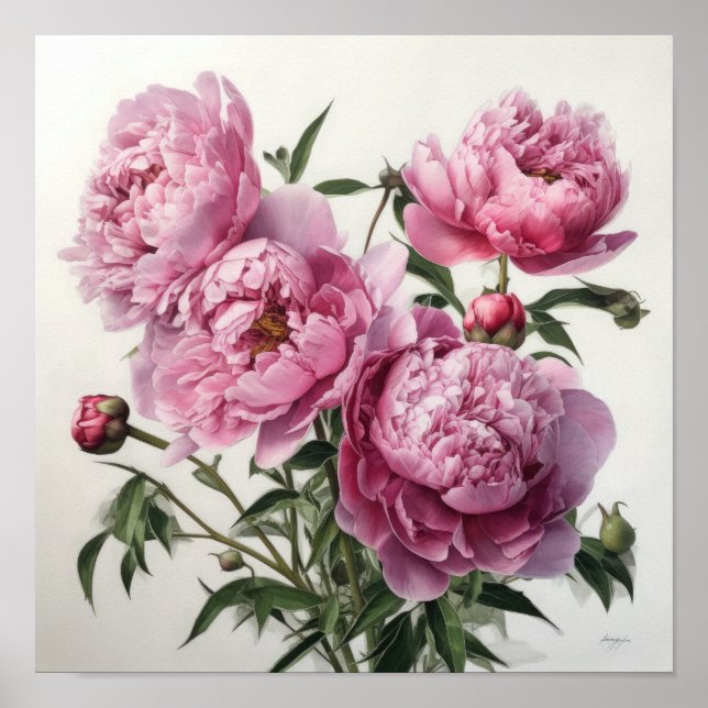 Pink Peongs Blume Art Print Poster (Vorne)