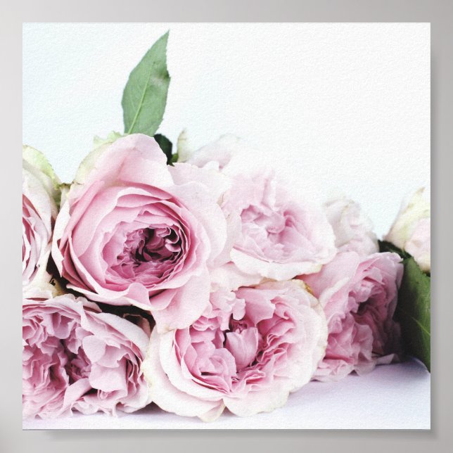 PINK PEONIES FOTOGRAPH POSTER (Vorne)
