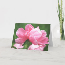 Pink Peonies Greeting Card Karte