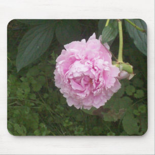 Pink Peonies Mousepad