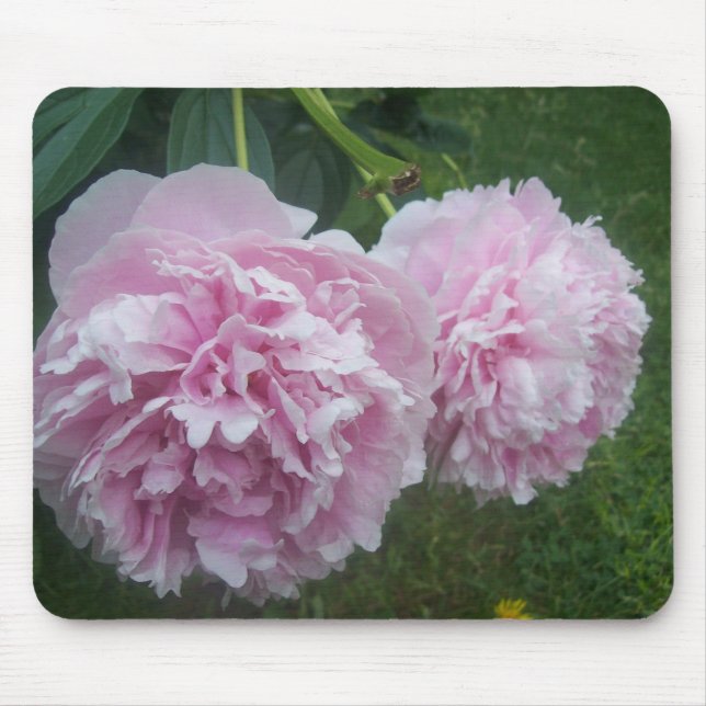 Pink Peonies Mousepad (Vorne)