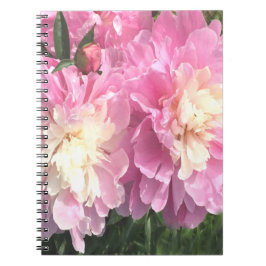 Pink Peonies Notizblock