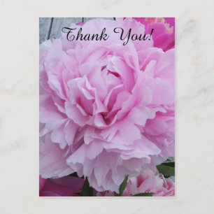 Pink Peonies Peony Danke Postcard Postkarte