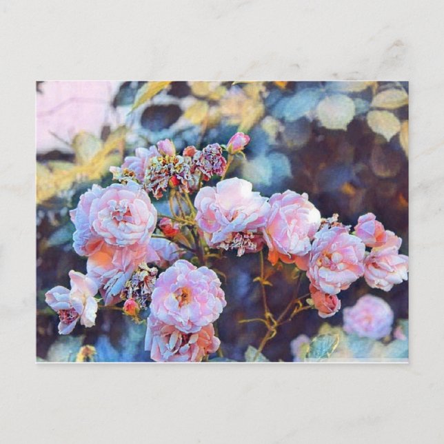 PINK PEONIES POSTCARD POSTKARTE (Vorderseite)