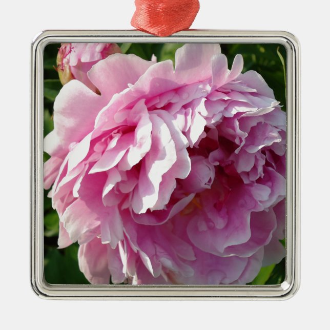 Pink Peonies Silbernes Ornament (Vorne)