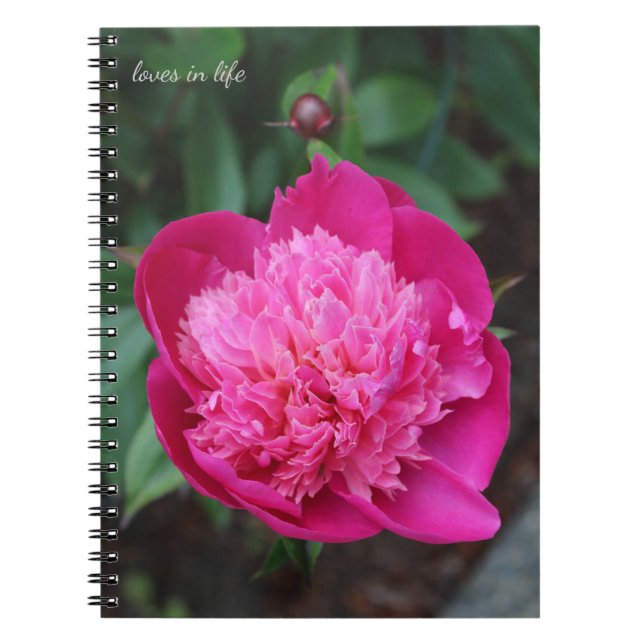 Pink Peony & Baby Bud Notizblock (Vorderseite)