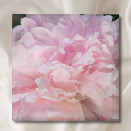 Pink Peony Blossom Magnet