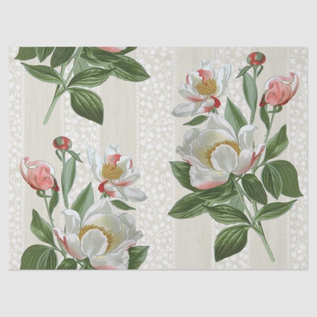 Pink Peony Blume Bläserne Streifen Decoupage Seidenpapier (Vorderseite)