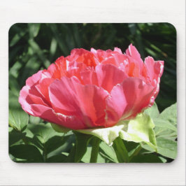 Pink Peony Blume Mousepad