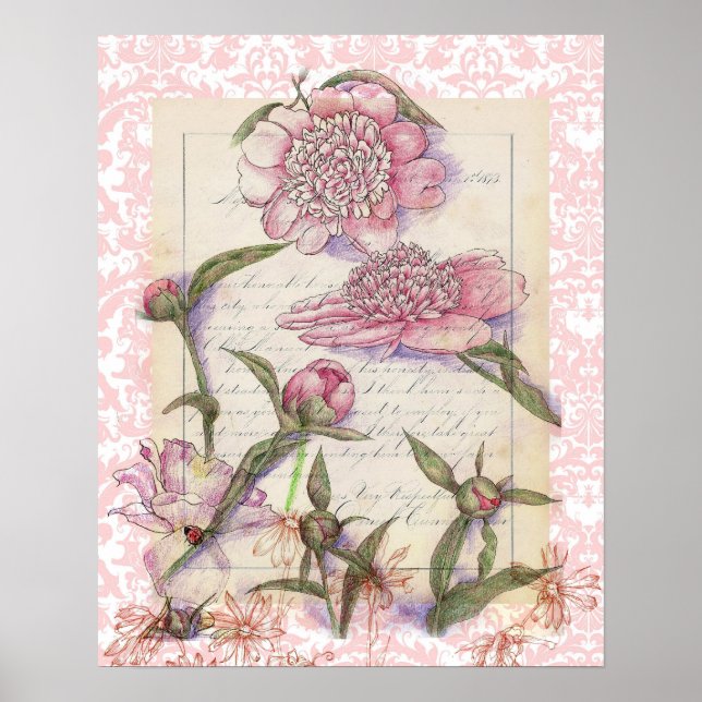 Pink Peony Blume Pen and Ink Art Collage Zeichnend Poster (Vorne)