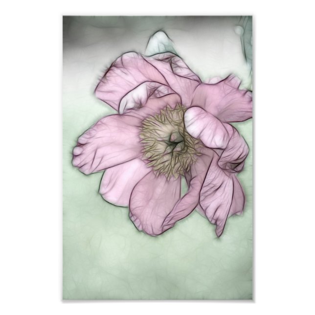 Pink Peony Blume Sketch Fotodruck (Vorne)