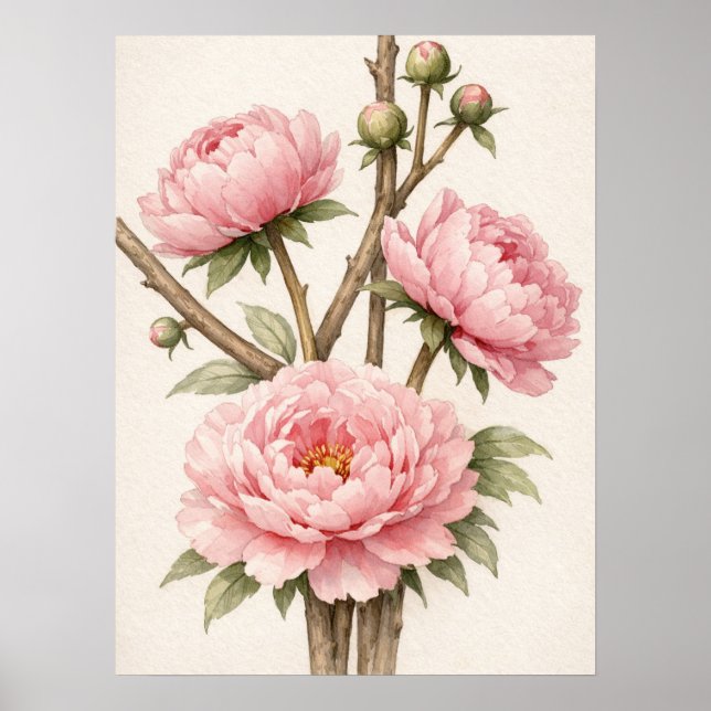 Pink Peony Botanical Poster (Vorne)