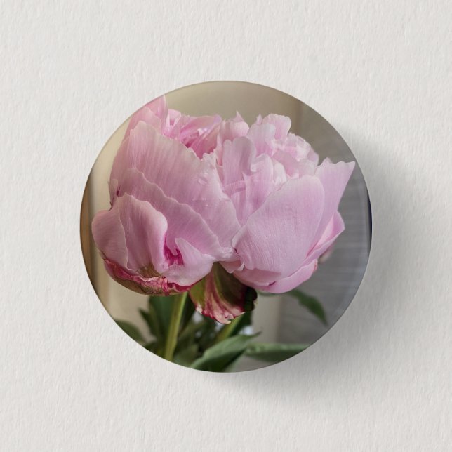 Pink Peony Button (Vorderseite)