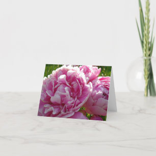 Pink Peony   cottage farmhouse floral garden Karte