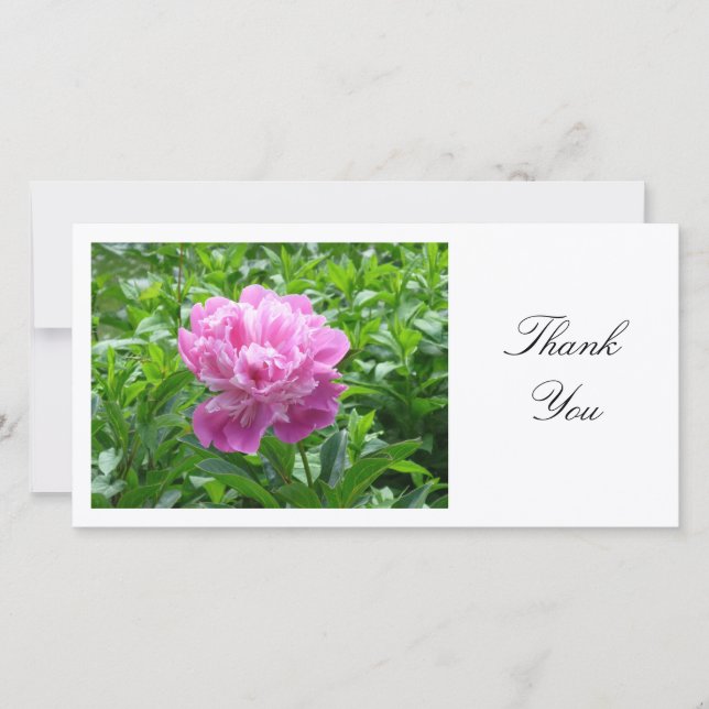 Pink Peony - Danke (Vorderseite)
