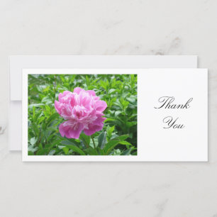 Pink Peony - Danke