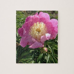 Pink Peony Floral Fotografie Puzzle