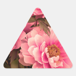 Pink  Peony Flower Dreieckiger Aufkleber