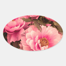 Pink  Peony Flower Ovaler Aufkleber