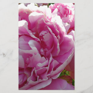 Pink Peony Foto Hütte Bauernhof Blumengarten Briefpapier