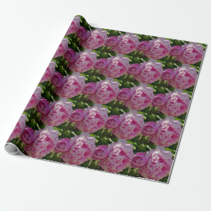 Pink Peony Foto Hütte Bauernhof Blumengarten Geschenkpapier