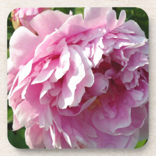 Pink Peony Foto Hütte Bauernhof Blumengarten Getränkeuntersetzer