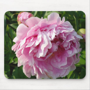 Pink Peony Foto Hütte Bauernhof Blumengarten Mousepad