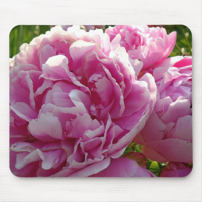 Pink Peony Foto Hütte Bauernhof Blumengarten Mousepad (Vorne)