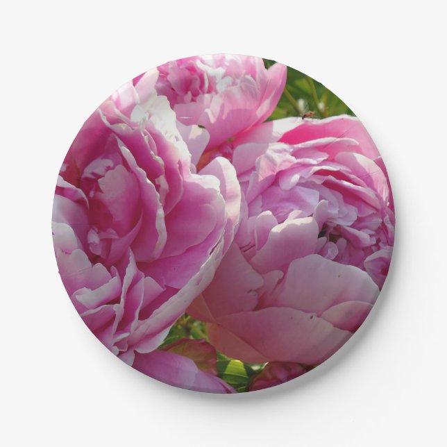 Pink Peony Foto Hütte Bauernhof Blumengarten Pappteller (Vorderseite)