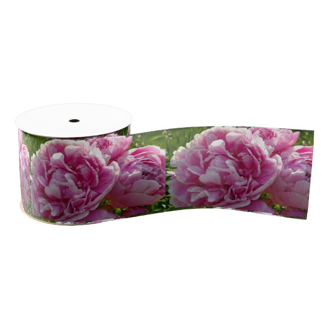Pink Peony Foto Hütte Bauernhof Blumengarten Ripsband (Spule)