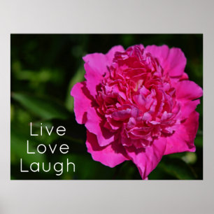 Pink Peony Garden Blume Motivierend Poster