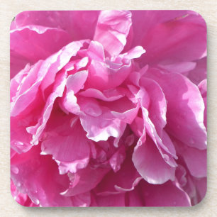 Pink Peony Getränkeuntersetzer
