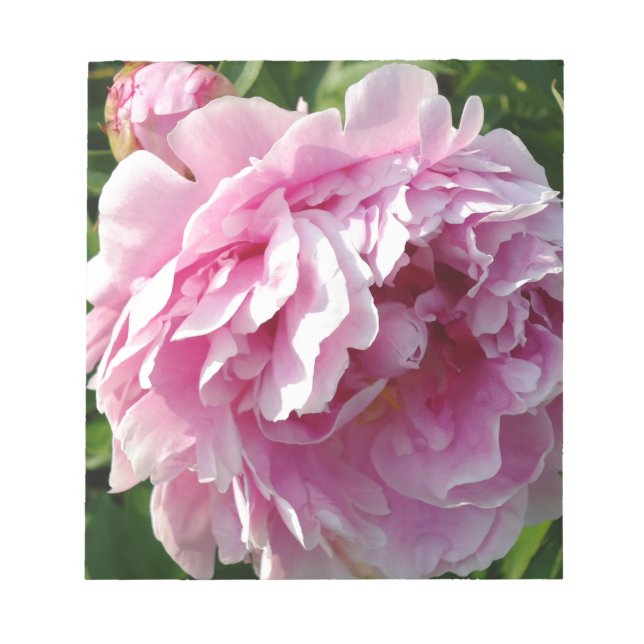 Pink Peony | Hütte Bauernhof Blumengarten Notizblock (Vorderseite)