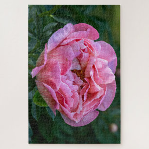 Pink Peony, kanadisches Blumenbild Puzzle