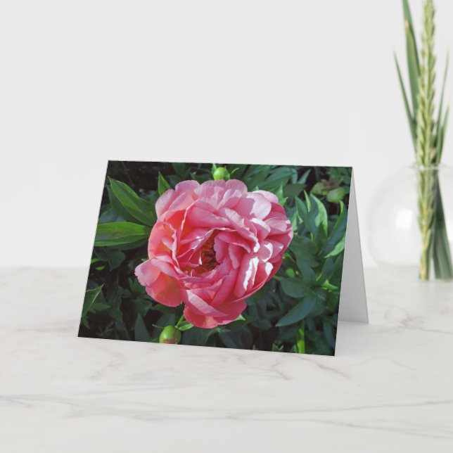 Pink Peony Karte (Vorderseite)