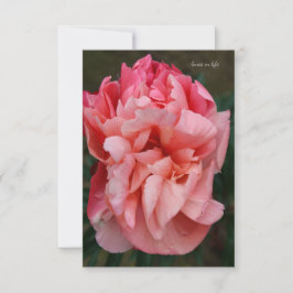 Pink Peony Mitteilungskarte
