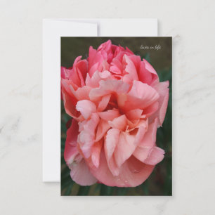 Pink Peony Mitteilungskarte