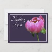 Pink Peony Navy Farbe Hintergrund Denken Sie an Si