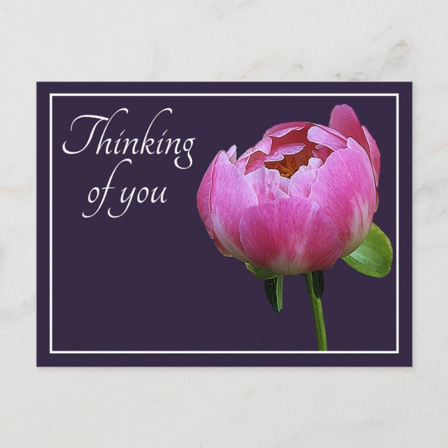 Pink Peony Navy Farbe Hintergrund Denken Sie an Si Postkarte (Vorderseite)