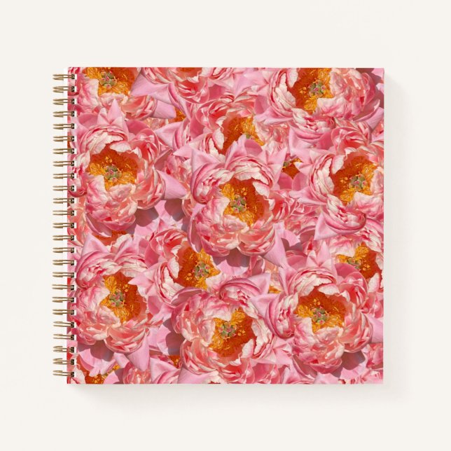 Pink Peony Notebook Notizbuch (Vorderseite)