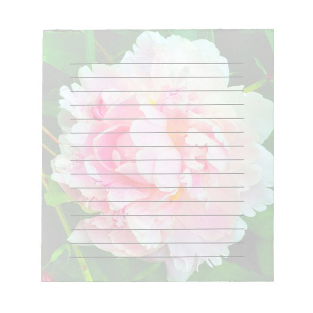 Pink Peony Notepad Notizblock (Vorderseite)