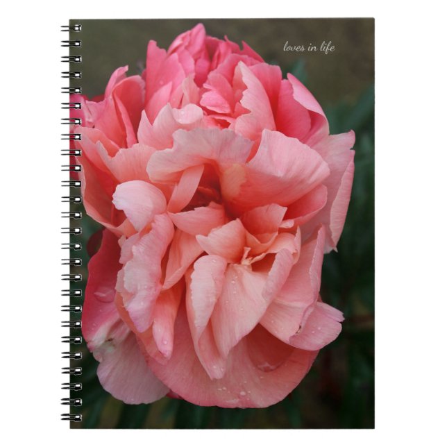 Pink Peony Notizblock (Vorderseite)