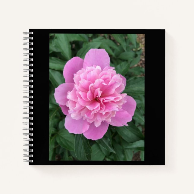 Pink Peony Notizbuch (Vorderseite)