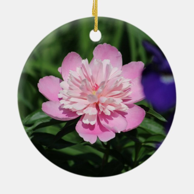 Pink Peony Ornament (Hinten)