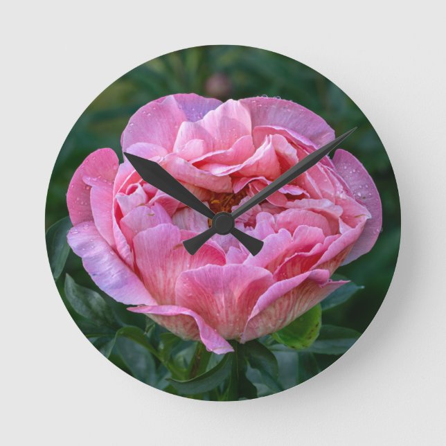 Pink Peony Runde Wanduhr (Vorderseite)