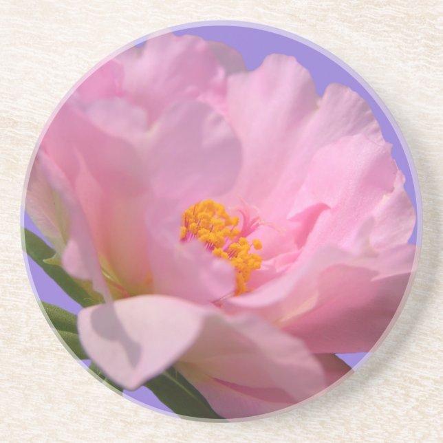 Pink Peony Sandstone Untersetzer (Vorne)