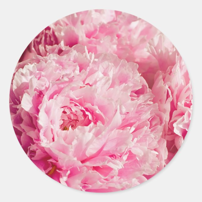 Pink Peony Stickers (Vorderseite)