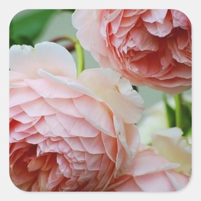 Pink Peony Umschlag Aufkleber Stickers (Vorderseite)