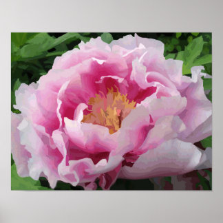 Pink Peony Watercolor Feine Blumen Poster
