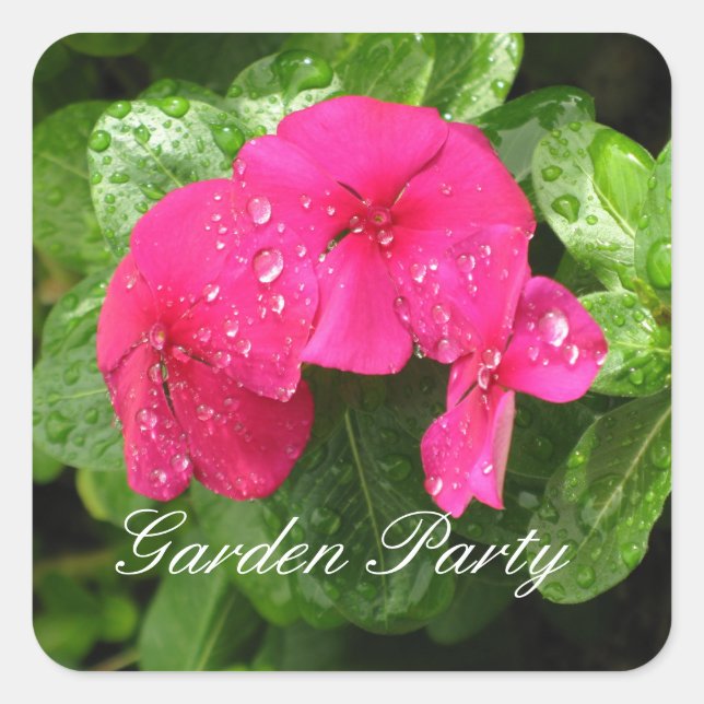 Pink Periwinkle - Garden Party Stickers (Vorderseite)